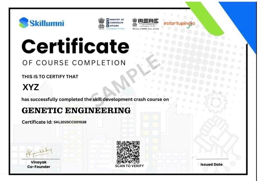 Course Completion Certificate